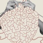Antidepressants Prime the Brain for Learning and Restoration